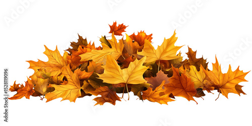 Pile of vibrant autumn maple leaves in warm yellow and orange tones, isolated on black background Concept of fall season, foliage, and nature