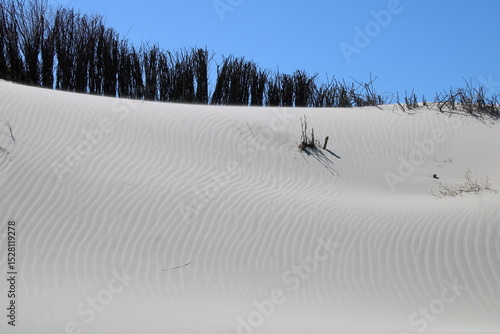 Fototapeta Naklejka Na Ścianę i Meble -  Sand dune and sand erosion protection