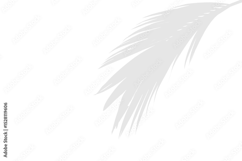 Obraz premium Single Palm Leaf in Abstract Minimalist Form with Transparent Background