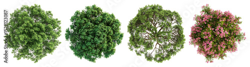 PNG Lush green and pink foliage, element set on transparent background