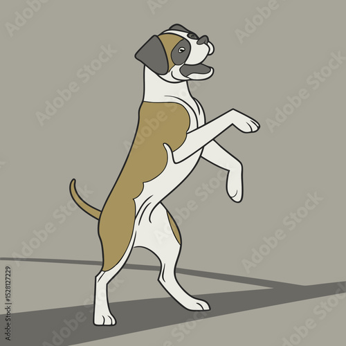 Playful boxer dog standing on hind legs with a happy expression  