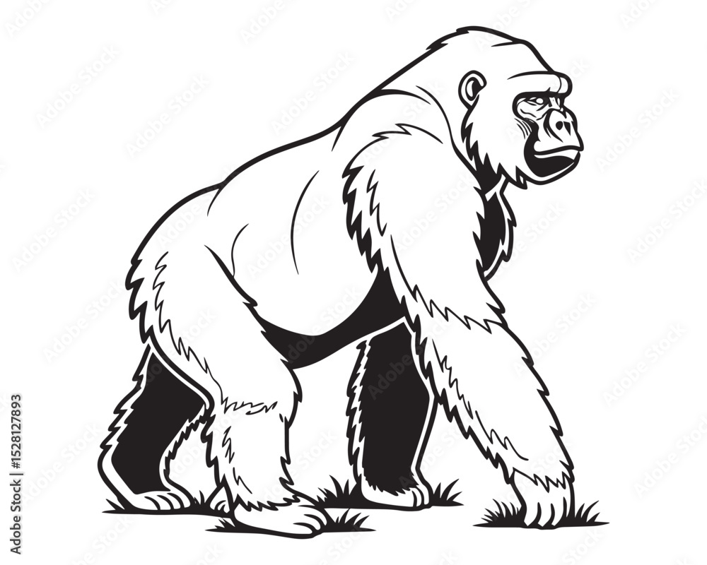 Fototapeta premium A black and white line drawing of a full gorilla in profile view isolated on transparent background, PNG