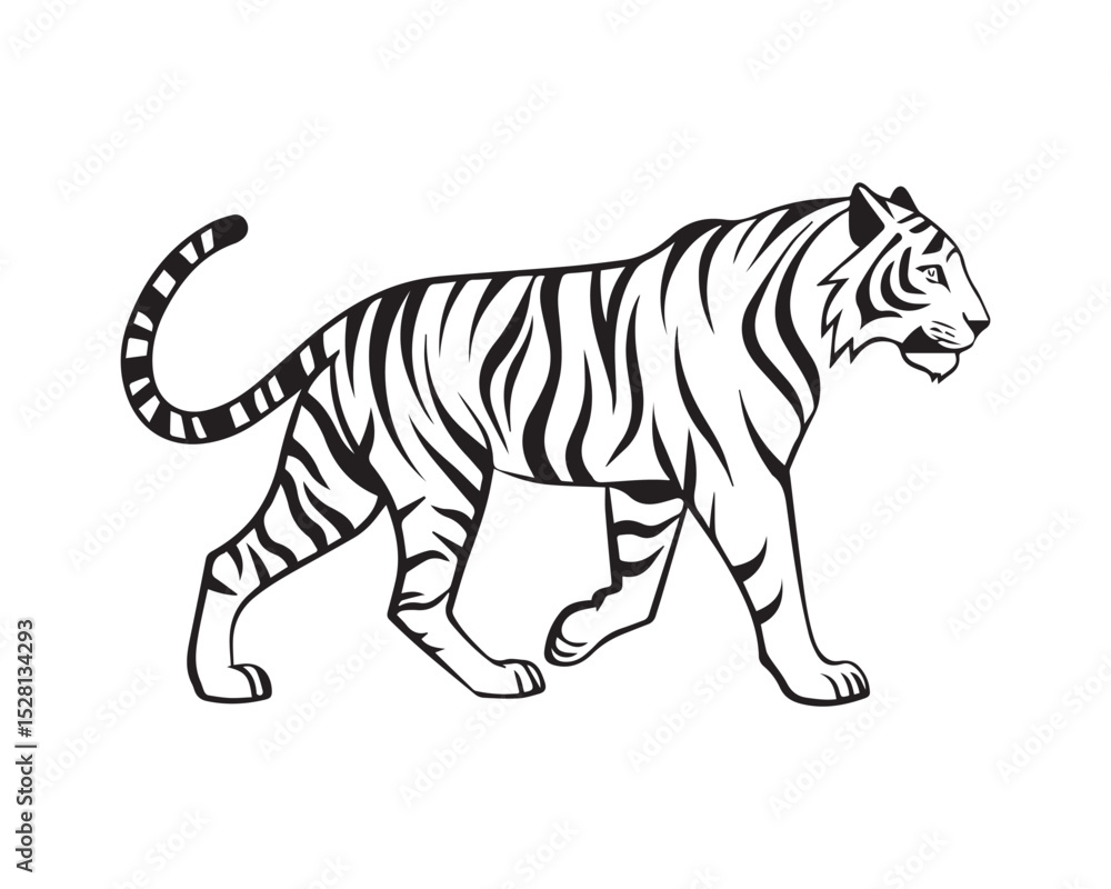 Fototapeta premium A black and white line drawing of a full tiger in profile view isolated on transparent background, PNG 