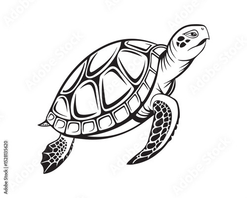 A black and white line drawing of a full turtle in profile view isolated on transparent background, PNG
