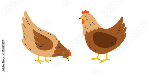 Сute Farm chickens, Bird Easter Characters. Hens. Organic farming and agriculture. Broiler Chicken farm and poultry. Meat and eggs products market or grocery store