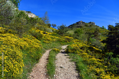Hermitage of San Lorenzo in...
