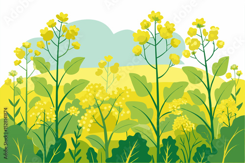 Botanical illustration of mustard plant with yellow flowers, green leaves, black and yellow mustard seeds, and seed pods. Herbal and culinary-themed flat lay design on a white background, ideal for ed