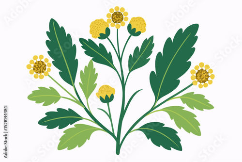 Botanical illustration of mustard plant with yellow flowers, green leaves, black and yellow mustard seeds, and seed pods. Herbal and culinary-themed flat lay design on a white background, ideal for ed