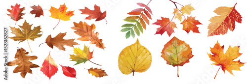 High-quality watercolor seamless pattern featuring vibrant autumn leaves set against a pristine white background. 