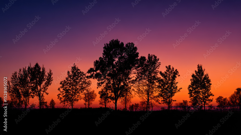 Fototapeta premium Colorful sunset behind silhouette of trees in a tranquil landscape