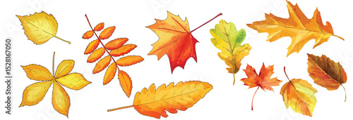 High-quality watercolor seamless pattern featuring vibrant autumn leaves set against a pristine white background. 