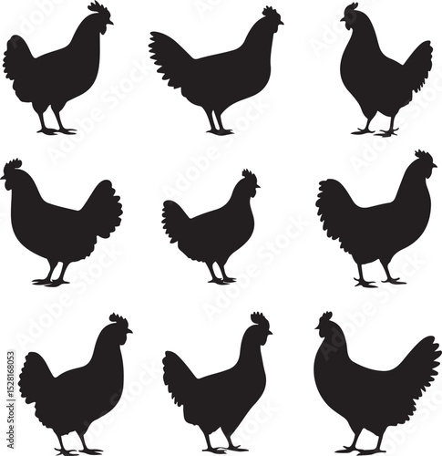 chicken set Silhouet