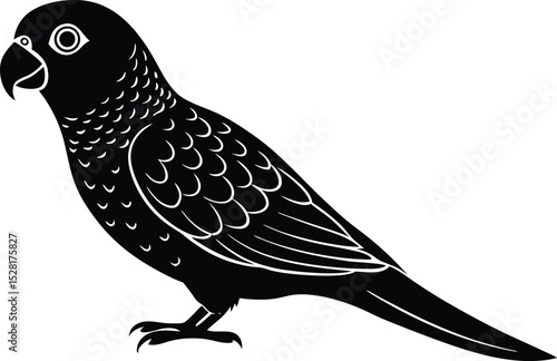 green cheeked conjure bird silhouette vector