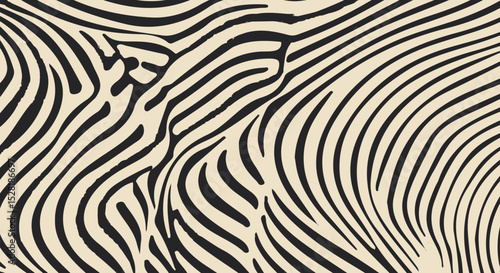 Vector illustration in modern minimalism style: organic black wavy stripes on beige background mimic zebra pattern. Neutral colors and abstract shapes reflect the minimalistic, nature-inspired look.