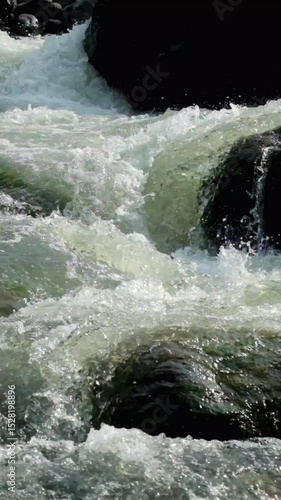 Wallpaper Mural Vertical footage of a clear mountain river flowing rapidly through river rocks. Splashes of river water falling on rocks. River in tropical rainforest. Ecological and environmental concept. Footage 4K Torontodigital.ca