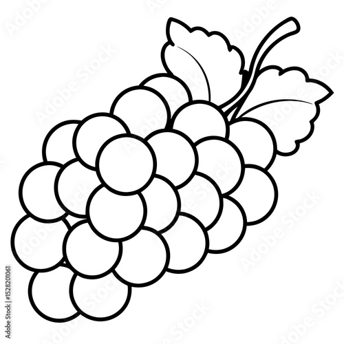 A bunch of grapes is illustrated in black and white, isolated on white background