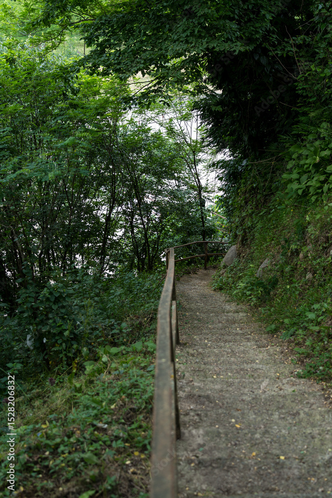 Obraz premium Steps down in the forest in the mountains of Georgia