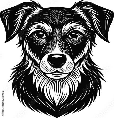  dog had