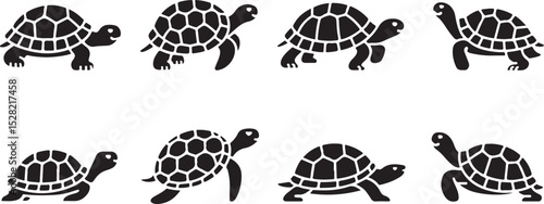 Twelve silhouettes of adorable tortoises and turtles.