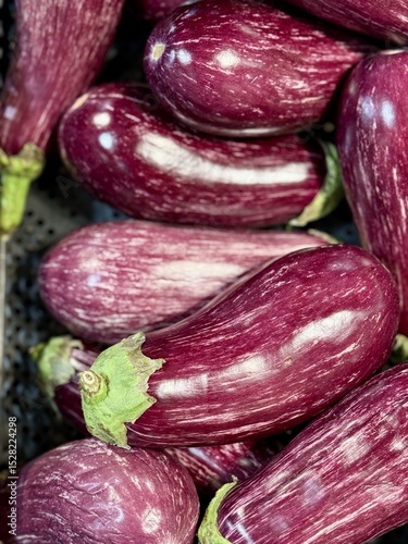 Wallpaper Mural Ripe dark eggplants in a cardboard box for sale in an elite supermarket. Healthy eating. Close-up Torontodigital.ca