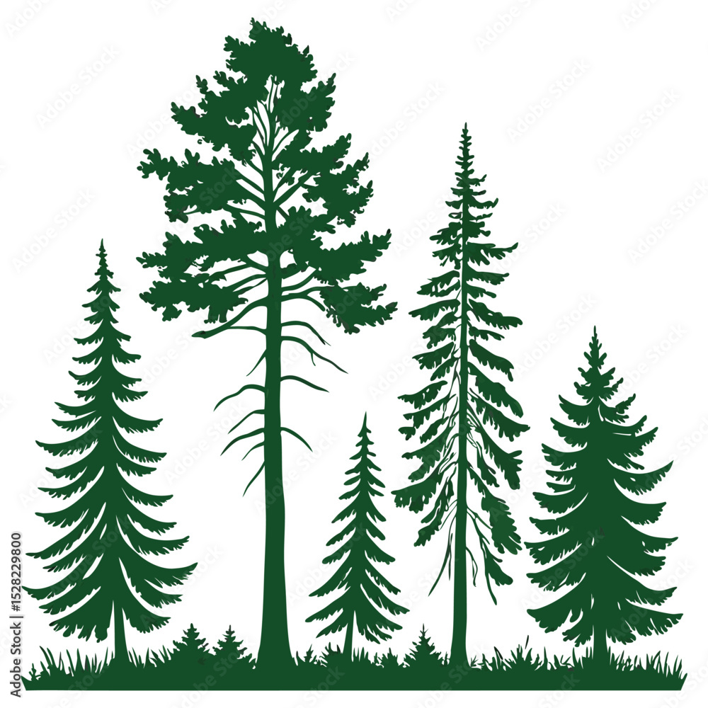 Obraz premium Vector silhouette of pine trees on white background