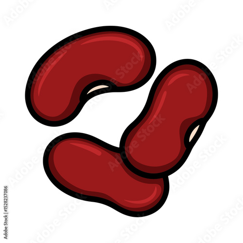 Illustration of three kidney beans with red color and black outline on a white background view from above