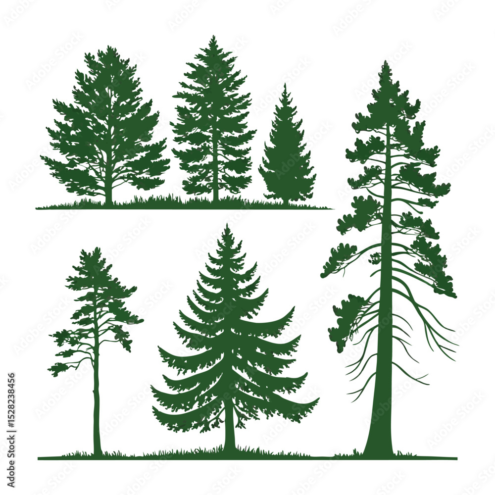 Obraz premium Set of 6 green pine tree silhouettes vector