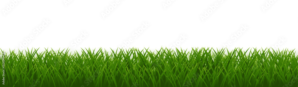 Fototapeta premium Green Border Isolated And White Background