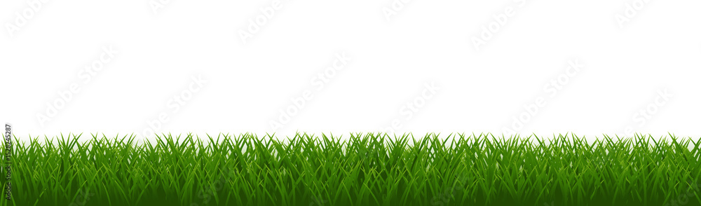 Obraz premium green grass background