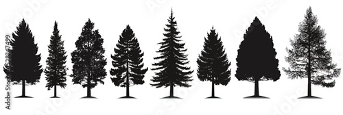 Silhouettes of diverse conifer tree species in black flat minimalist vector illustration with detailed shapes and varying foliage styles against white background