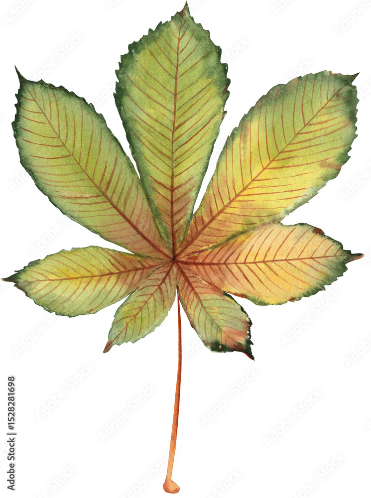 Φωτογραφία Watercolor illustration of horse chestnut leaves in autumn colors