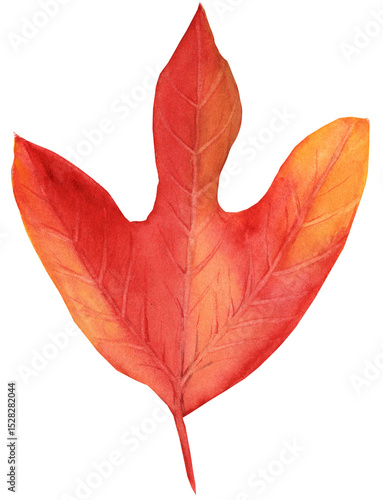 Watercolor illustration of an autumn sassafras leaf with vibrant fall colors. Perfect for seasonal designs, botanical art, and nature projects.