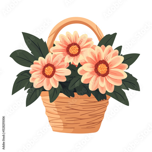 A Dahlia Flower Basket illustration vector 2D flat, isolated on a white background.