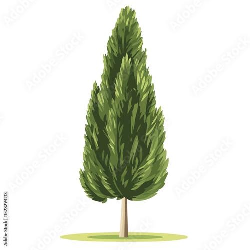 2D flat vector illustration of A Cypress Tree, isolated on a white background.