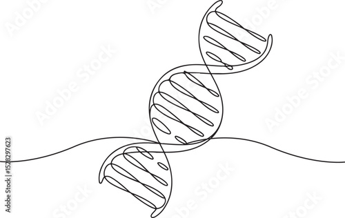 Continuous line drawing of DNA double helix, black and white minimalist scientific sketch with spiral structure and genetic details

