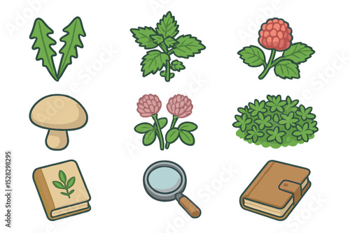 Edible Plant Icon Set. Isometric Flat icon set of edible wild plant identification: dandelion leaves, nettle sprig, wild raspberry