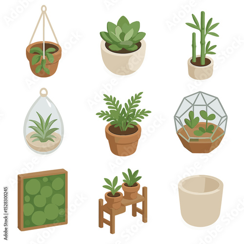 Isometric Plant Icon Set. Isometric Flat icon set of plants and greenery: hanging planter, small succulent, bamboo plant, air