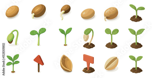Growth stages of plants concept with sprouting seeds and seedlings