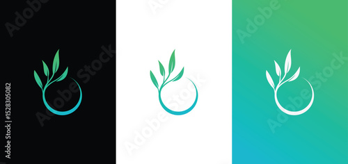 Olive branch logo design 
