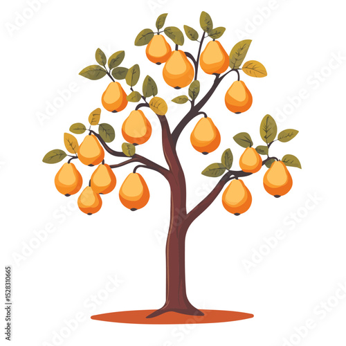 Autumn Pears Ripening Tree vector 2D flat illustration, isolated on a white background.