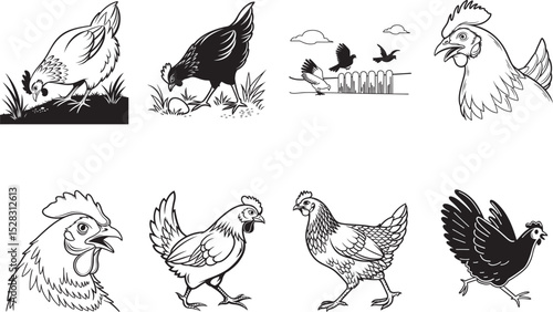 Simple Line Art Illustrations of Chickens and Chicken Parts