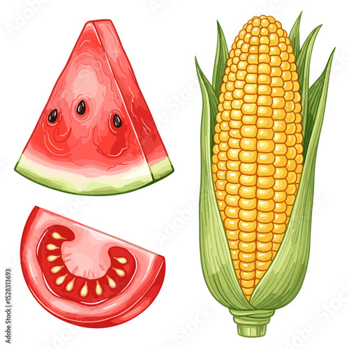 Summer Fruits and Corn: A vibrant illustration featuring a juicy slice of watermelon, a ripe tomato wedge, and an ear of sweet corn. Perfect for summer-themed designs and projects.