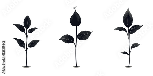 Collection of seed germination shadows illustrating plant growth stages in a simple vector style