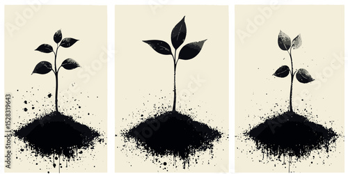 Seed germination progression in vector art showcasing stages of growth in black and white design