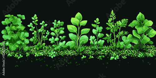Lush green herbs and plants growing in a flat design vector illustration on a black background