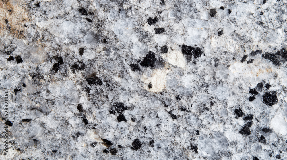 Fototapeta premium Detailed Grey Granite Close-up