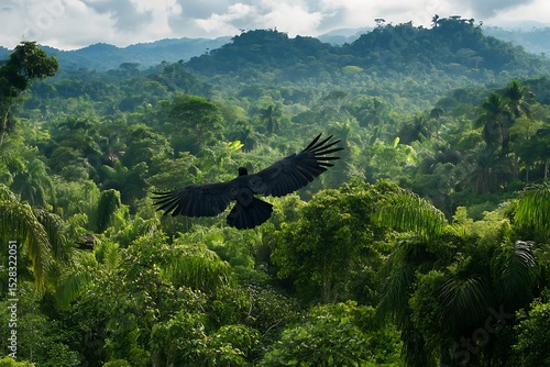 black vulture flying over rainforest clearing
