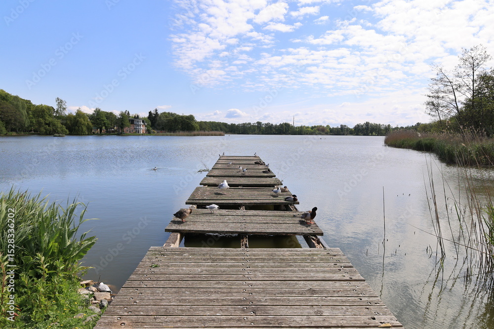 Obraz premium Blick auf den Schloonsee bei Heringsdorf auf der Ostseeinsel Usedom