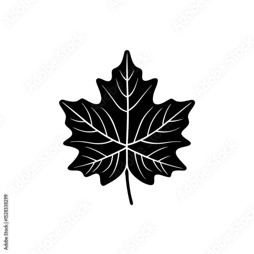 creative and simple minimal details Outline Maple leaf icon vector 