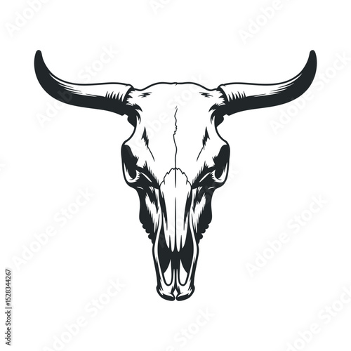Monochrome Bull Skull Illustration with Long Horns on White Background for Western Wild West or Tattoo Designs